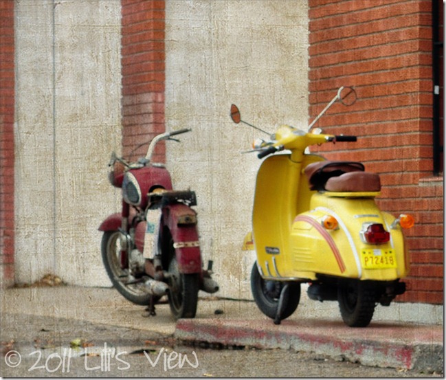 DSC_0086 copy_edited-1