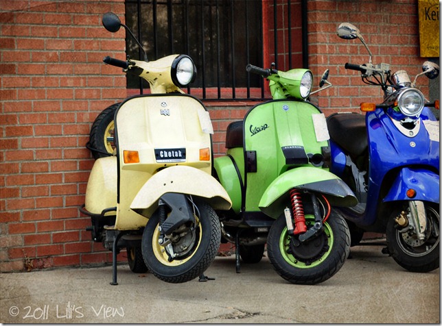 DSC_0087 copy_edited-1