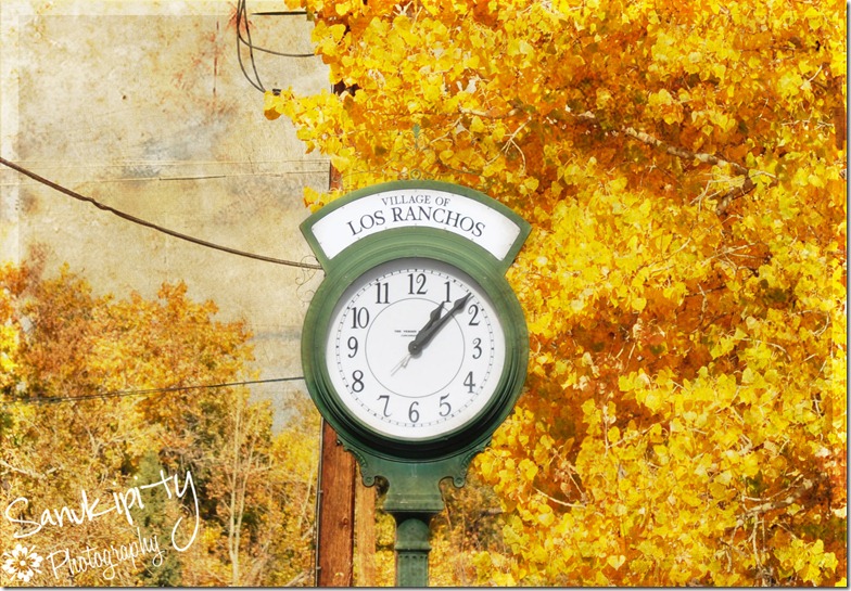 nov and phoebe overlay_edited-1