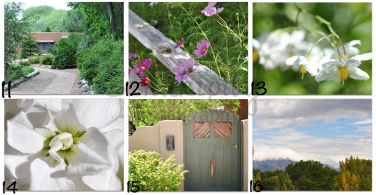 6 image template horizontal - web version by Kim Klassen