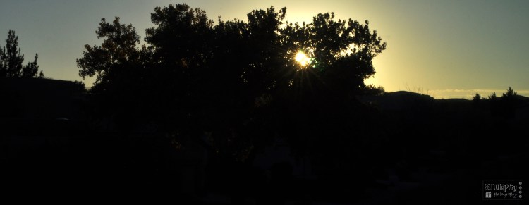 sunset silhoutte