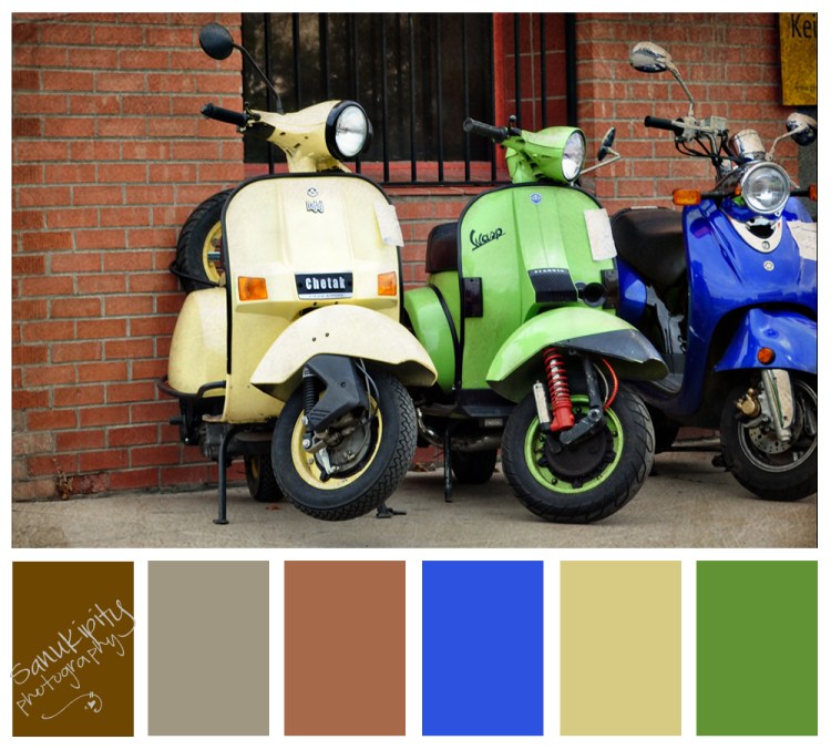 scooter-color-bar