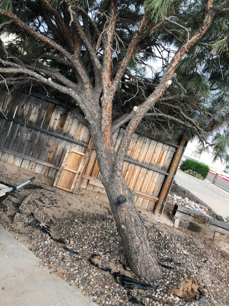 Photo Aug 13, 6 23 47 PM